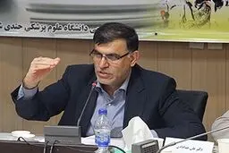 رئیس دانشگاه علوم پزشکی جندی شاپور اهواز:

  هیچ بیمار تنفسی بر اثر باران در اهواز فوت نکرد