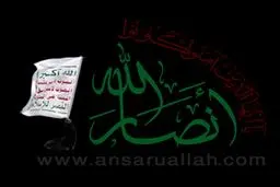 انصارالله یمن سقوط هواپیما روسیه را به پوتین تسلیت گفت