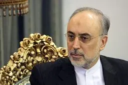 صالحی:  ایران اجرای تعهدات مربوط به برجام را آغاز کرده است