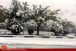 عکس خبری:: بارش اولین برف پائیزی در پایتخت