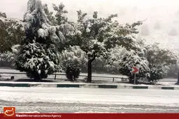 عکس خبری:: بارش اولین برف پائیزی در پایتخت