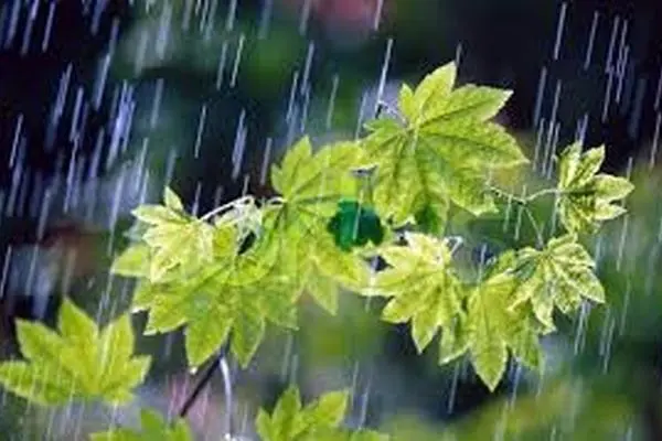 ورود سامانه بارشی جدید به ایران، فردا