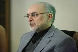 صالحی: همزمان با لغو تحریم‌ها، به تعهدات خود عمل می‌کنیم