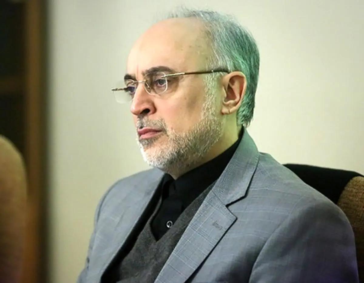 صالحی: همزمان با لغو تحریم‌ها، به تعهدات خود عمل می‌کنیم