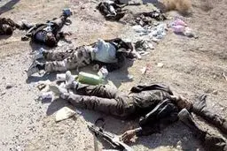 کشته شدن ۸۳ تروریست در جنوب 