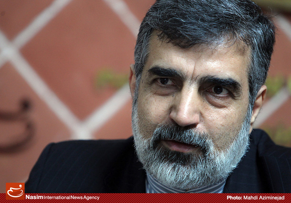کمالوندی: نیروگاه اتمی بوشهر به صورت دائمی به اپراتور ایرانی تحویل داده می شود