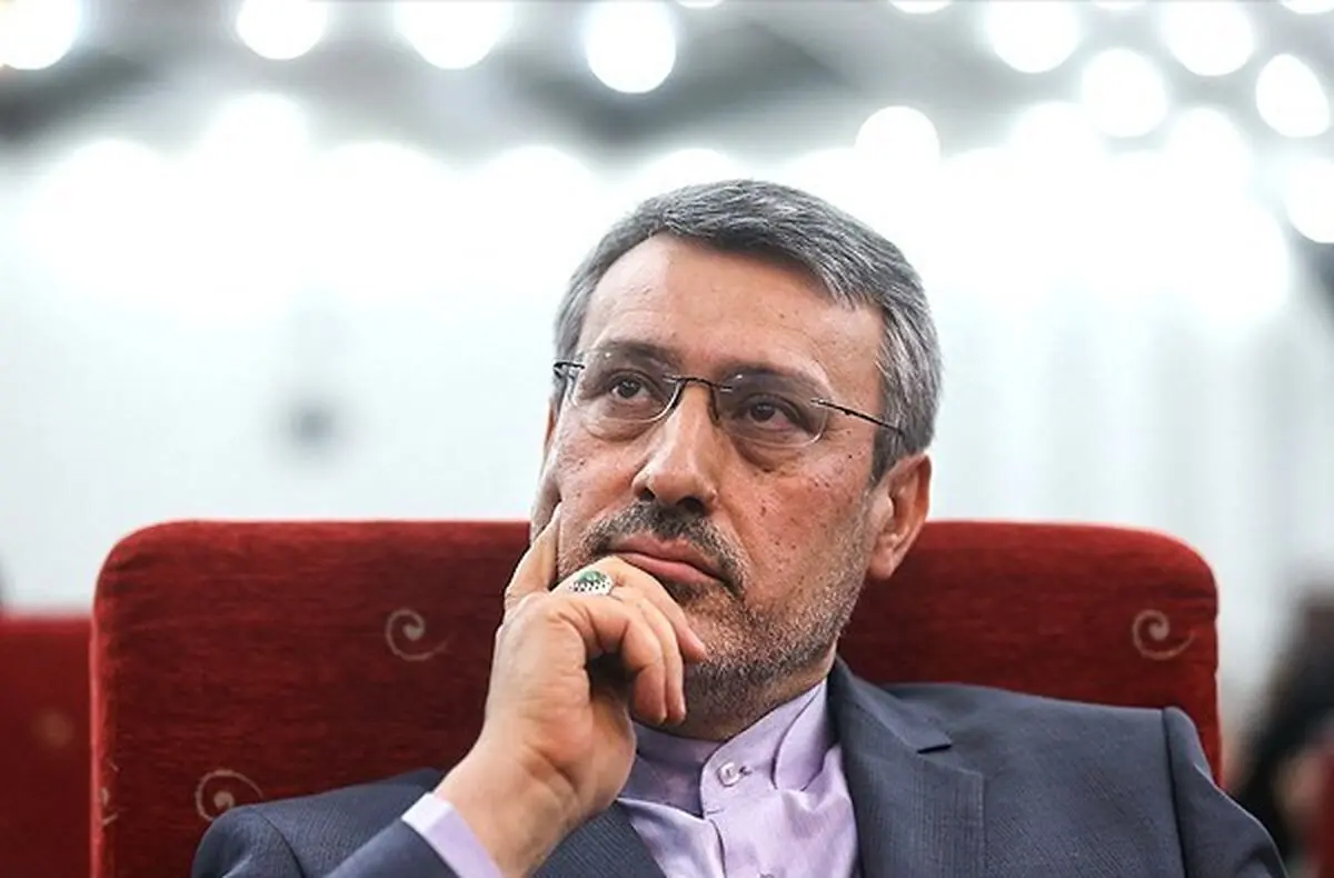 بعیدی نژاد: هیچ کشوری  نباید خود را از خطر تروریست‌ها در امان بداند