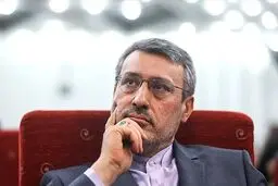 بعیدی نژاد: هیچ کشوری  نباید خود را از خطر تروریست‌ها در امان بداند