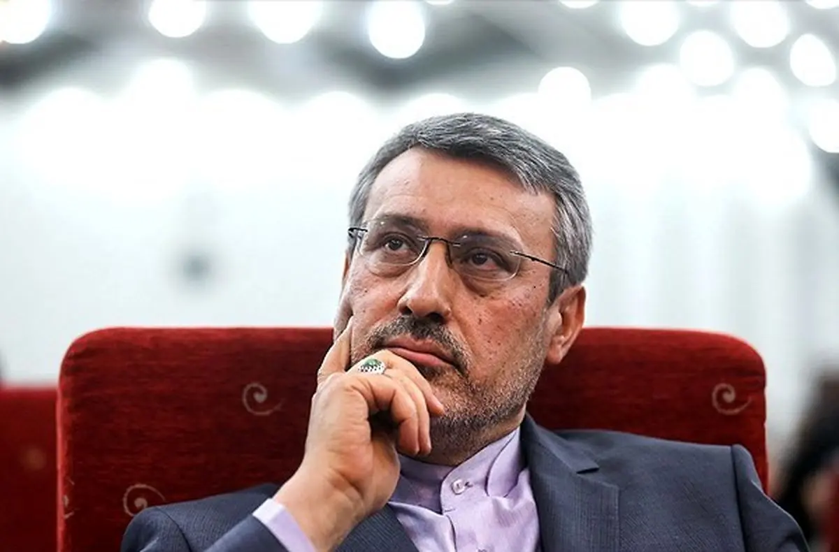 بعیدی نژاد: هیچ کشوری  نباید خود را از خطر تروریست‌ها در امان بداند