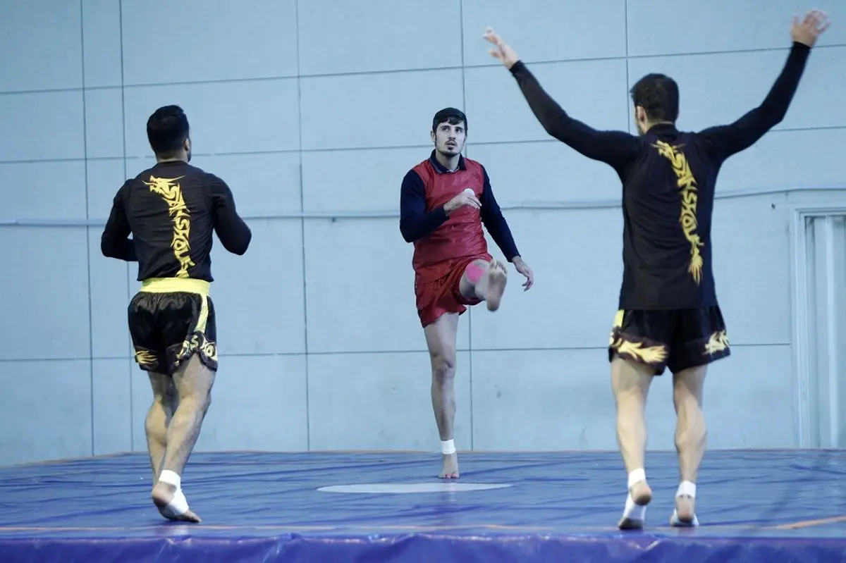 سیفی، فضلی و قلی‌پور فینالیست شدند