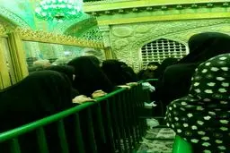 طرح آزمایشی زیارت نوبتی ضریح امام رضا(ع) متوقف شد