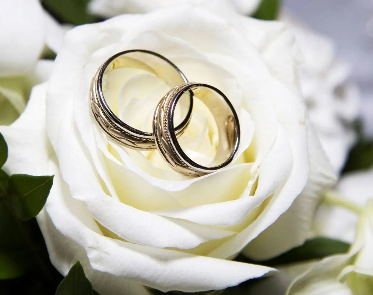 معاون جوانان وزیر ورزش خبر داد: رونمایی از  بیمه ازدواج جوانان تا یکماه آینده