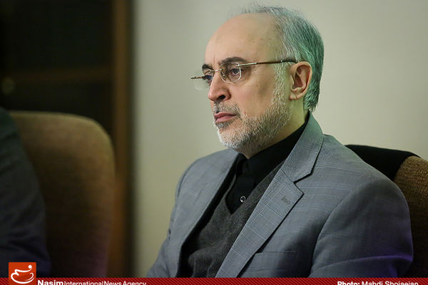 نشست مشترک سفرای ایران و مسئولان سازمان انرژی اتمی برگزار شد