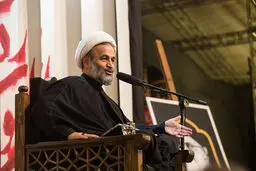 پناهیان: مضامین مهدوی در اشعار حسینی کمرنگ شده است