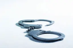 فرزند عطاالله مهاجرانی  بازداشت شد