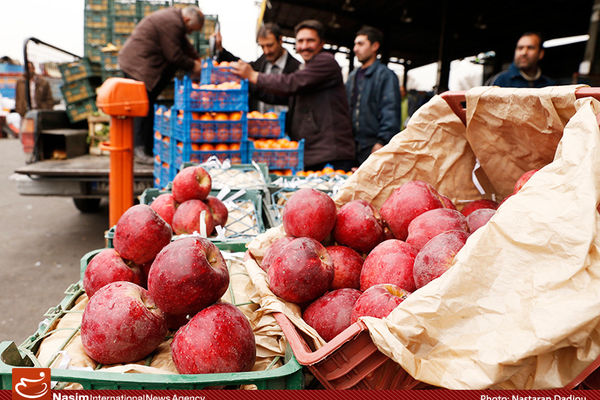 نایب رئیس اتحادیه باغداران: دولت بخواهد می تواند یکروزه پرونده قاچاق میوه را ببندد