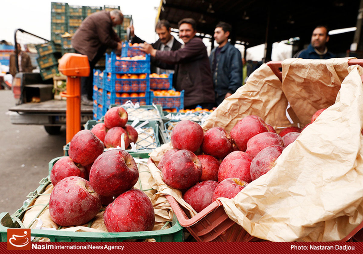 نایب رئیس اتحادیه باغداران: دولت بخواهد می تواند یکروزه پرونده قاچاق میوه را ببندد