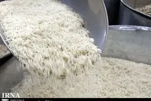 گمرک به اشتباه خود در اعلام آمار واردات برنج اعتراف کرد