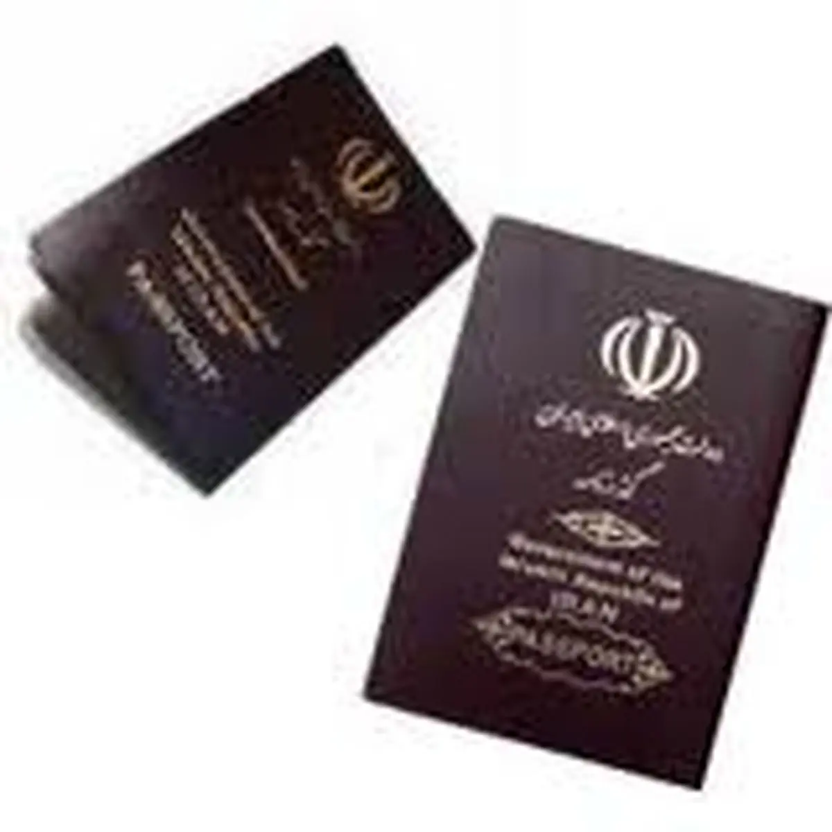 رئیس پلیس گذرنامه ناجا: چاپ گذرنامه یک روزه است اما پروسه تحویل به زائران ۳ روز طول می‌کشد