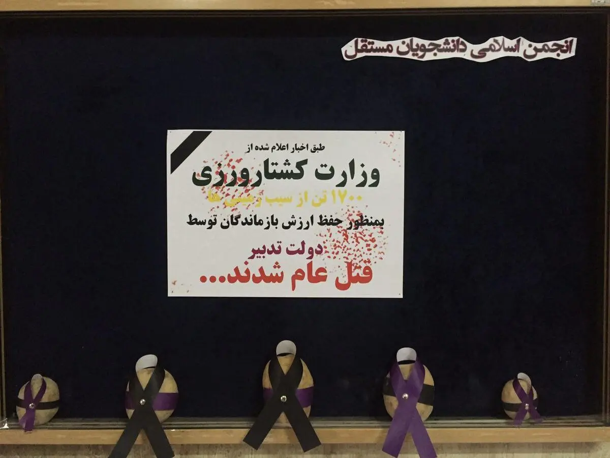 وزارت کشاورزی یا وزارت کشتارورزی! + عکس