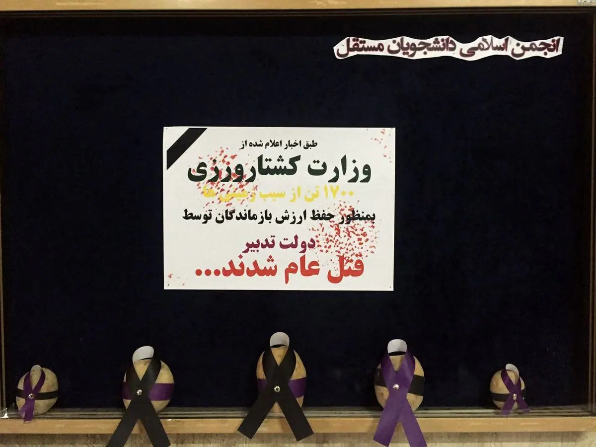 وزارت کشاورزی یا وزارت کشتارورزی! + عکس