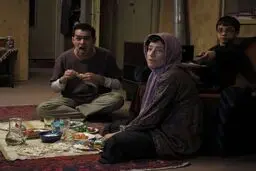 پخش 
