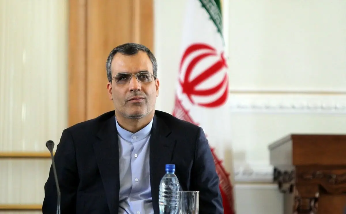 جابرانصاری: ترکیه  نزاکت و احترام را در روابط متقابل رعایت کند