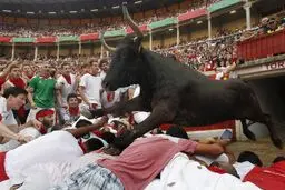 گزارش تصویری: عکس‌های برتر ورزشی در سال ۲۰۱۵