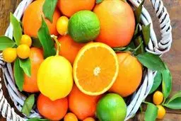 ارسال اولین محموله از مرکبات سوریه به روسیه