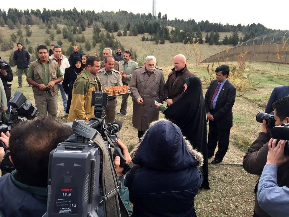 ابتکار عنوان کرد:  مشاهده ۱۸ توله یوز در ماه‌های اخیر