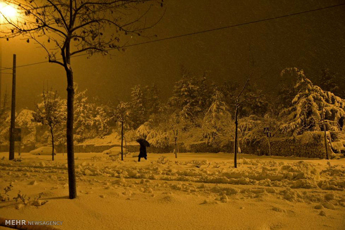هواشناسی:
دمای تهران امشب به ۳ درجه زیر صفر می‌رسد