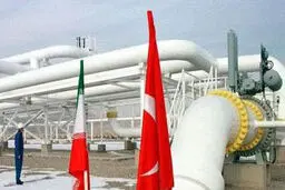 رئیس تاسیسات اندازه گیری صادرات: ایران۳۰ درصد گاز ترکیه را تامین می‌کند