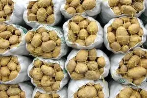 رئیس اتحادیه صادرکنندگان میوه: آقای وزیر! چرا جلوی صادرات میوه ایرانی  را به خارج گرفتید؟