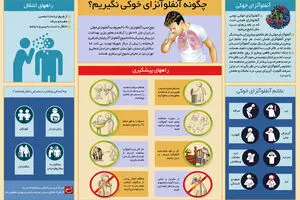 گرافیک اطلاع‌رسان:: چگونه آنفلوآنزای خوکی نگیریم؟
