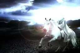 آیا حضرت مهدی (عج) از نسل امام حسن مجتبی(ع) است؟