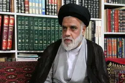 حجت‌الاسلام‌  طباطبایی: پیامبر با مخالفت سازمان‌یافته به‌شدت برخورد می‌کردند