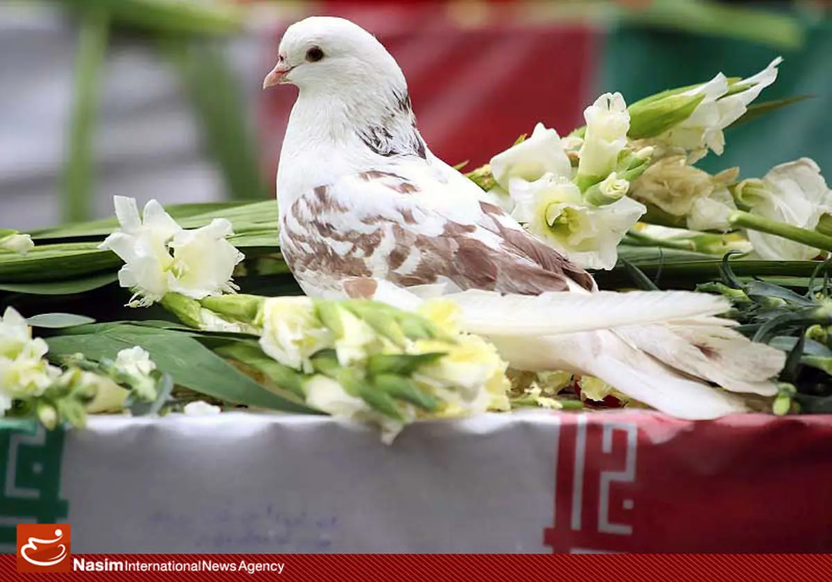 گزارش تصویری:: تشییع پیکر شهدای گمنام در منطقه ۱۷ تهران