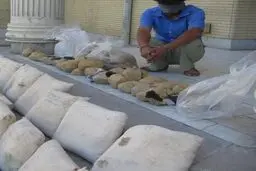۴ عامل انتقال مواد مخدر از جنوب کشور به پایتخت دستگیر شدند