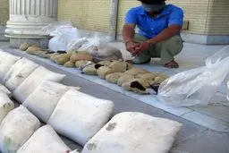 ۴ عامل انتقال مواد مخدر از جنوب کشور به پایتخت دستگیر شدند