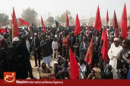 تظاهرات گسترده در نیجریه علیه  کشتار شیعیان ادامه دارد