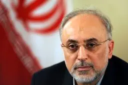 صالحی: دو مورد را فراتر از پروتکل الحاقی پذیرفته‌ایم