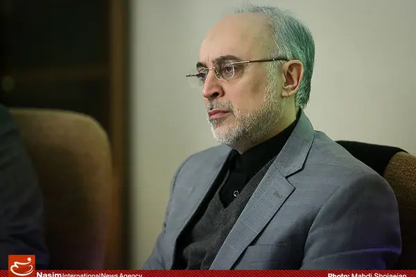 صالحی:  سخنان  آمانو مغایر مفاد  قطعنامه امروز در شورای حکام است