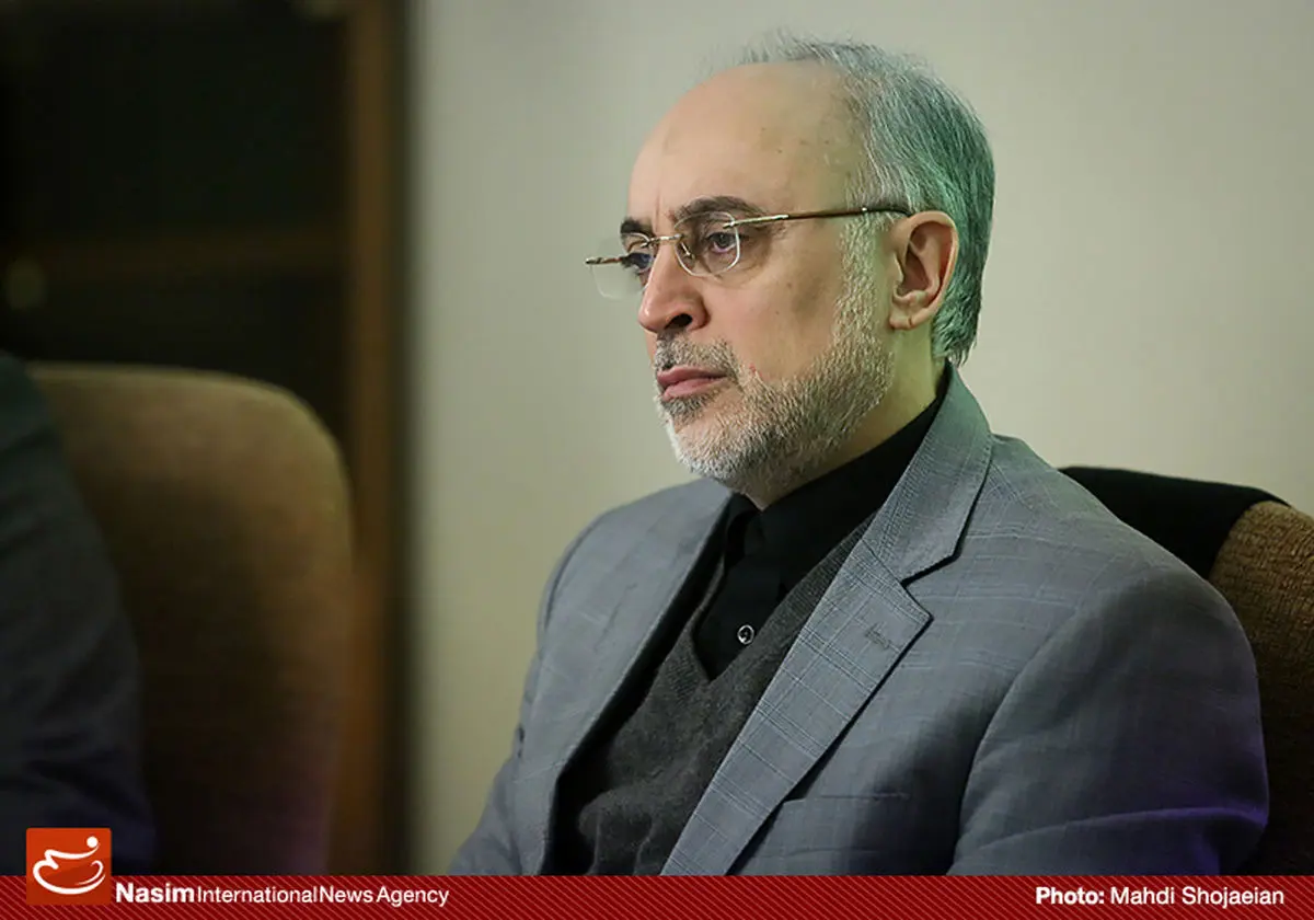 صالحی:  سخنان  آمانو مغایر مفاد  قطعنامه امروز در شورای حکام است
