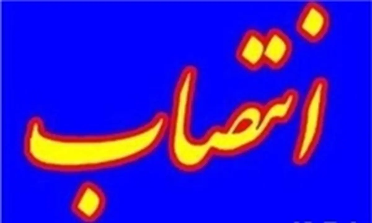 دبیر ستاد توسعه فناوری انرژی‌های تجدیدپذیر معاونت علمی منصوب شد