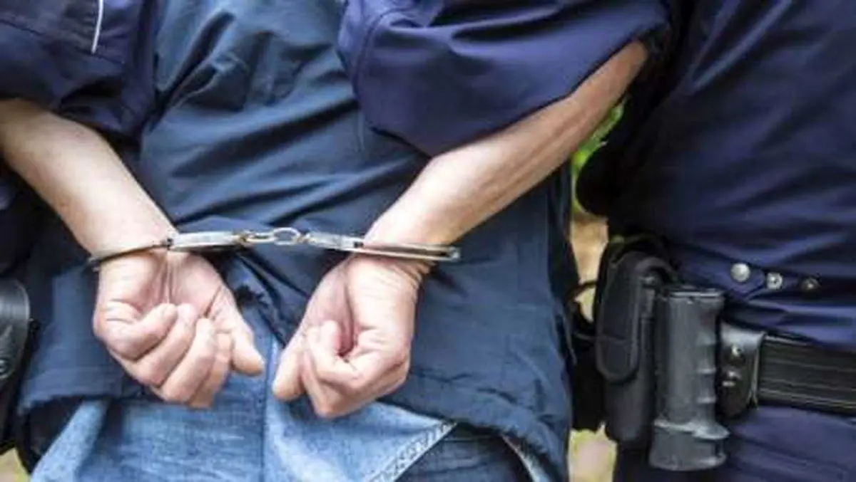 ۷۹ نفر در عملیات مبارزه با فساد مالی در صربستان دستگیر شدند