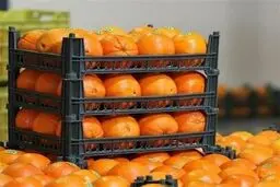 توزیع میوه شب عید جلوی درب مساجد 