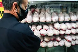 کشف بالغ بر ۵ هزار مورد تخلف در مراکز توزیع کالاهای اساسی