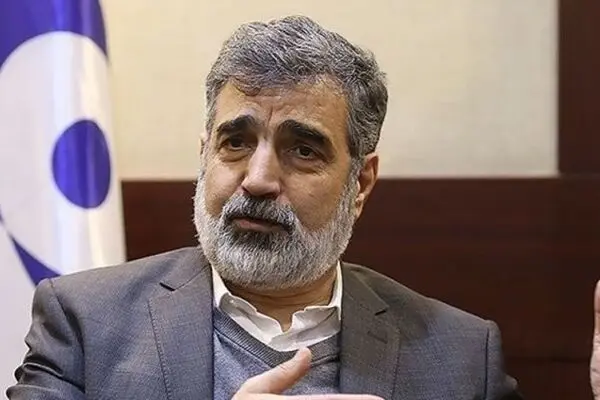 کمالوندی: اقدام مجلس درباره کاهش تعهدات خوب است