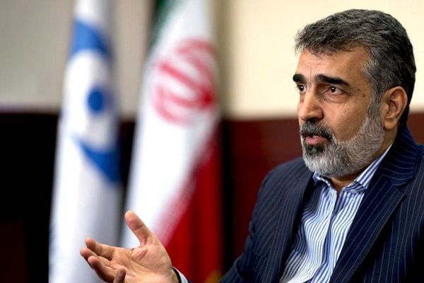 کمالوندی: بازرسی‌های آژانس از ایران حدود ۳۰ درصد کاهش می‌یابد 
