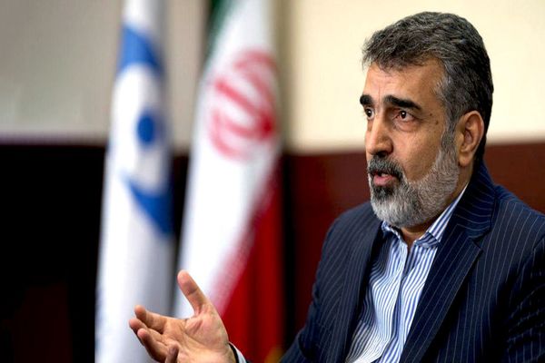 کمالوندی: بازرسی‌های آژانس از ایران حدود ۳۰ درصد کاهش می‌یابد 